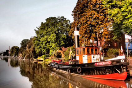 {{brizy_dc_image_alt imageSrc=